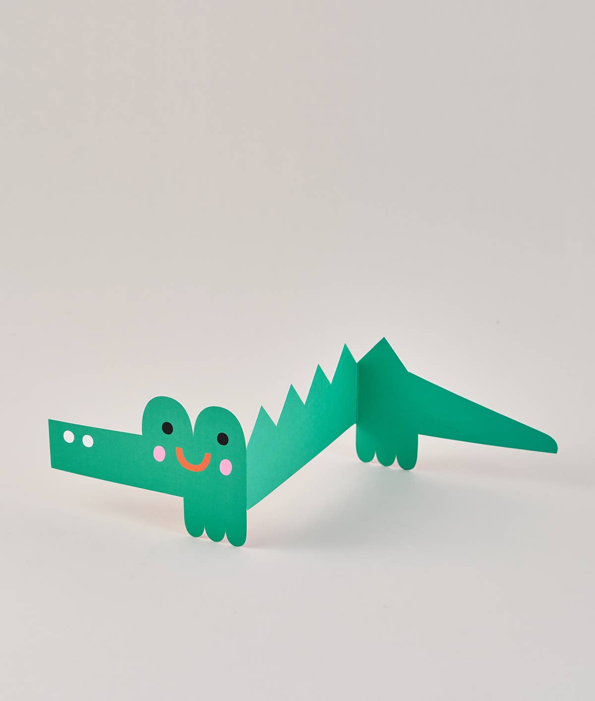 'Croc' Fold Out Kid's Birthday Card - Susie Hammer