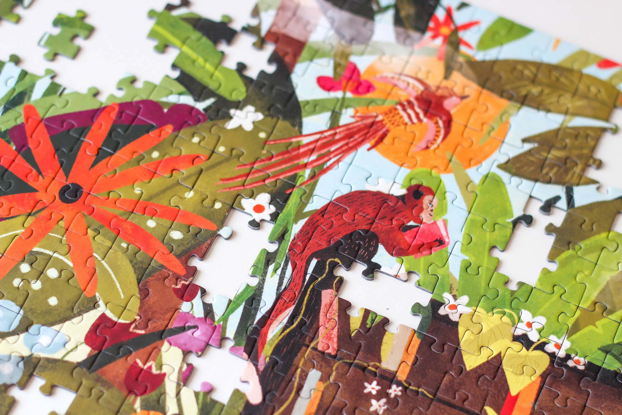 Jungle Library by La Jeanette