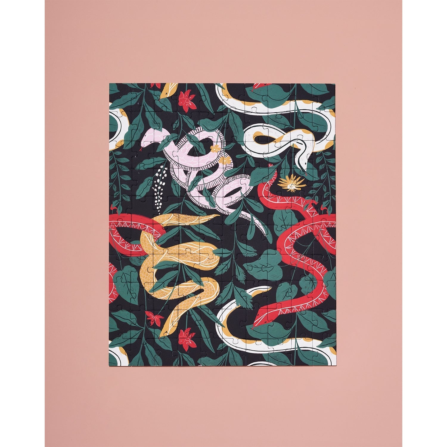 Snakes in the Garden by Josefina Schargo